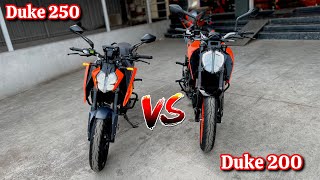 2024 KTM Duke 250 Vs Duke 200 Comparison  Which is Best Ktm duke 250 vs duke 200 [upl. by Etra]