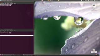 WRF Tutorial  Step 1  Setup [upl. by Shalom873]