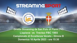 LIAPIAVE vs TREVISO FBC 1993 [upl. by Talyah]