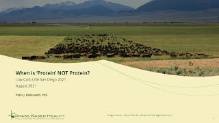 Dr Peter Ballerstedt  When is Protein NOT Protein [upl. by Assira]