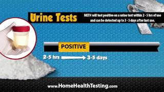 How Long Does Meth Stay In Your System [upl. by Afesoj]