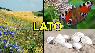 Lato – przyroda wakacje co robić nad morzem i w górach – Film edukacyjny dla dzieci – lekcja [upl. by Alair647]