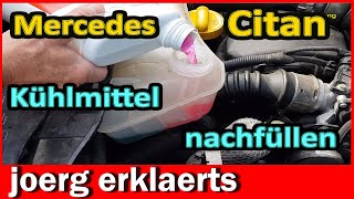 Mercedes Kühlmittel nachfüllen auffüllenTutorial DIY Citan [upl. by Leahcir]