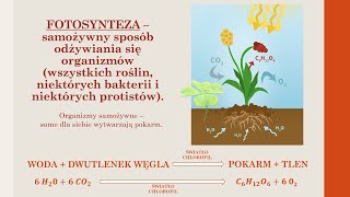 Budowa i czynności życiowe organizmów  PODSUMOWANIE WIADOMOŚCI biologia szkoła podstawowa [upl. by Annauqahs]