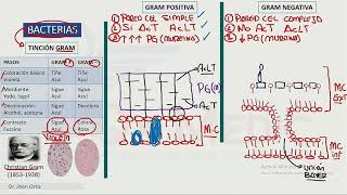 2 CIENCIAS BÁSICAS  INFECTOLOGÍA I [upl. by Carlisle]