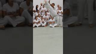 capoeira PROFESSOR MOLINHA [upl. by Nehepts]