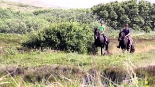 Puur Terschelling [upl. by Annaul353]