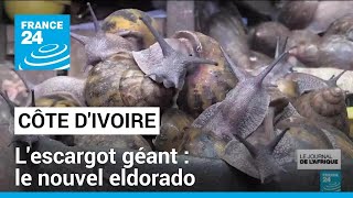 Côte dIvoire  le boom des fermes descargots géants • FRANCE 24 [upl. by Niltiac959]