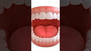 Hyperdontia dekha gya ek bacchi me 1million 01tranding humanbodysecrets sciencefacts teeth yt [upl. by Siobhan]