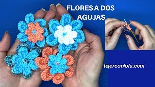 🌺 FLORES tejidas  a DOS AGUJAS 🌺 [upl. by Hilde]