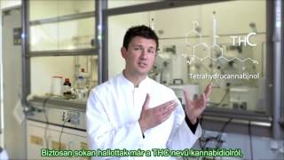 CBD Cannabidiol magyar [upl. by Kluge494]