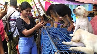 RECENT DOG PUPPY PRICE UPDATE  GALIFF STREET PET MARKET KOLKATA  CHEAPEST PRICEVISIT 26JUNE 2022 [upl. by Abran]