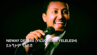 Neway Debebe Yilugntam yelelesh  ይሉኝታም የሌለሽ [upl. by Klemm]