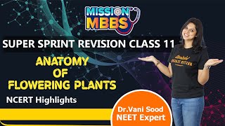 Anatomy of Flowering Plants in One Shot  NEET 202324  Class 11 Biology  Super Sprint  Vedantu [upl. by Vanya]