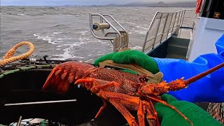 Giant Lobster Hunters S04E05 [upl. by Lalad]