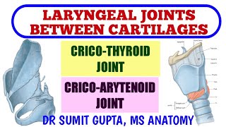 LARYNGEAL JOINTS  Cricothyroid Joint  Cricoarytenoid Joint [upl. by Treb]