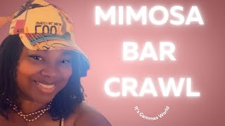 Mimosa Bar Crawl🥂🍾🥂🍾 [upl. by Nagaer]