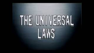 The Universal Laws by Stewart Wilde  Thoughts of Attraction [upl. by Young633]