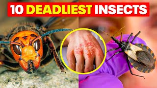 Top 10 Deadliest Insects That Will Make Your Skin Crawl 😱 [upl. by Ardena343]