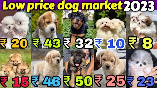 ₹10 ₹20 ₹50 Cheapest Dog Market in India 🐶 Free Home Delivery 🏡🚚 LabGsdPomRotthuskypug [upl. by Mcilroy]