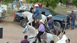 COSALA SINALOA MUSICA Y CABALLOS BAILADORES CABALGATA 2018 [upl. by Akierdna880]