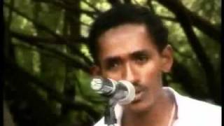 Hachalu HundessaNew Oromo Music [upl. by Orsay534]