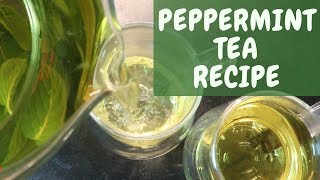 HOW TO MAKE YOUR OWN PEPPERMINT TEA  DIY Quick amp Inexpensive [upl. by Sedecrem]