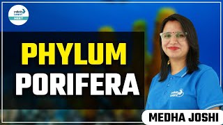 Phylum Porifera  ShortLecture  NEET Zoology  Medha Joshi  Infinity Learn NEET [upl. by Gifford]