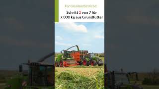 2 Schritt Wie du 7000 kg Milch aus dem Grundfutter melkst 2 von 7 grünland [upl. by Drofxer]