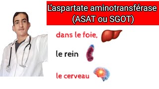 Laspartate aminotransférase ASAT ou SGOT [upl. by Ailad]