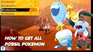 How To Get All Four Fossil Pokemon in Pokemon Sword and Shield [upl. by Ellerehc185]