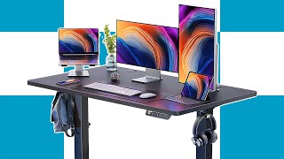 ErGear Height Adjustable Electric Standing Desk Review [upl. by Faith]