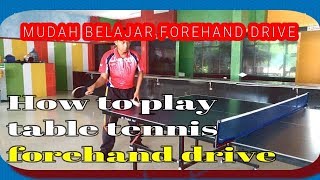 How to play table tennis forehand drive  Cara Menguasai Forehand Drive Tenis Meja [upl. by Sirraf]