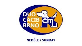 DUO CACIB BRNO 2024  Sunday [upl. by Melvyn]