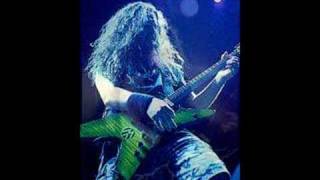 Dimebag Darrell Pantera  Fractured Mirror [upl. by Anawait]