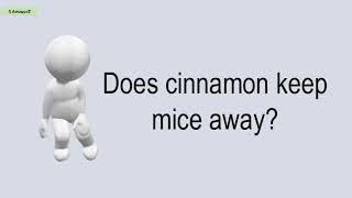 Does Cinnamon Keep Mice Away [upl. by Valeria]