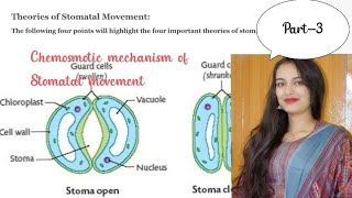 Chemiosmotic stomatal movementpart3 [upl. by Eelahs]