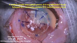 Sequestrum Keratectomy Baroon BioSIS Plus [upl. by Achorn]