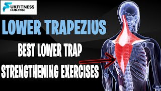 Lower Trapezius Anatomy And Activation Exercises That You Can Do At Home [upl. by Letnohc]