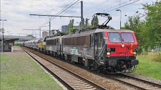 Treinen in Antwerpen Noorderdokken Lijn 27A Klaxons 30082024 [upl. by Adnalu]