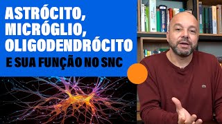 Uma Visão Neuroquímica das Relações Neurônio x Neuroglia [upl. by Odnesor283]