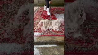 Foam scraping 408 satisfying asmr carpetcleganin Newaladdin shorts [upl. by Romina379]