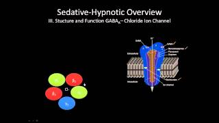 The GABA receptor  How does it work [upl. by Victor]