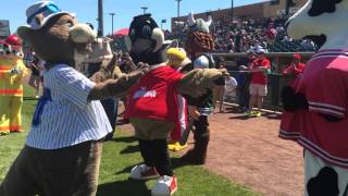 Slider and mascot friends celebrating Busters Birthday [upl. by Sharona290]