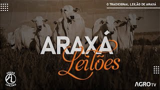 ARAXÁ LEILÕES AO VIVO  ARAXÁ MG [upl. by Theona]