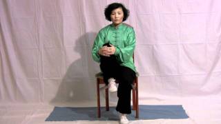 Seated Qigong  Fay Li Yip [upl. by Nivrag]