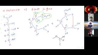 20july2021 L 5 Linear Structure of Ribose amp De oxyribose Sugar and Cyclic str of Ribose sugar [upl. by Bate]