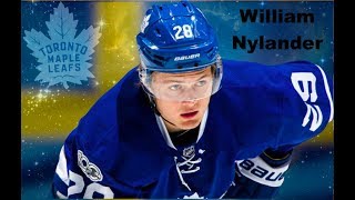 William Nylander 29 quotThe Next Generationquot NHL amp Sweden Highlights [upl. by Novah470]