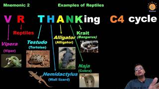 Mnemonic  Trick for Animal Kingdom Examples 3  Reptiles  Bony Fishes  Coelomates  Acoelomates [upl. by Acinom]