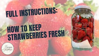 Strawberry Hack How to Make Your Berries Last Weeks in the Fridge [upl. by Yadroc]